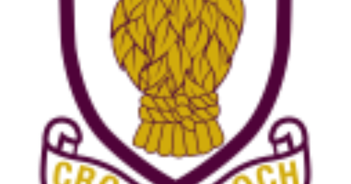 Daily Hunt The Shape Croftmalloch Primary School